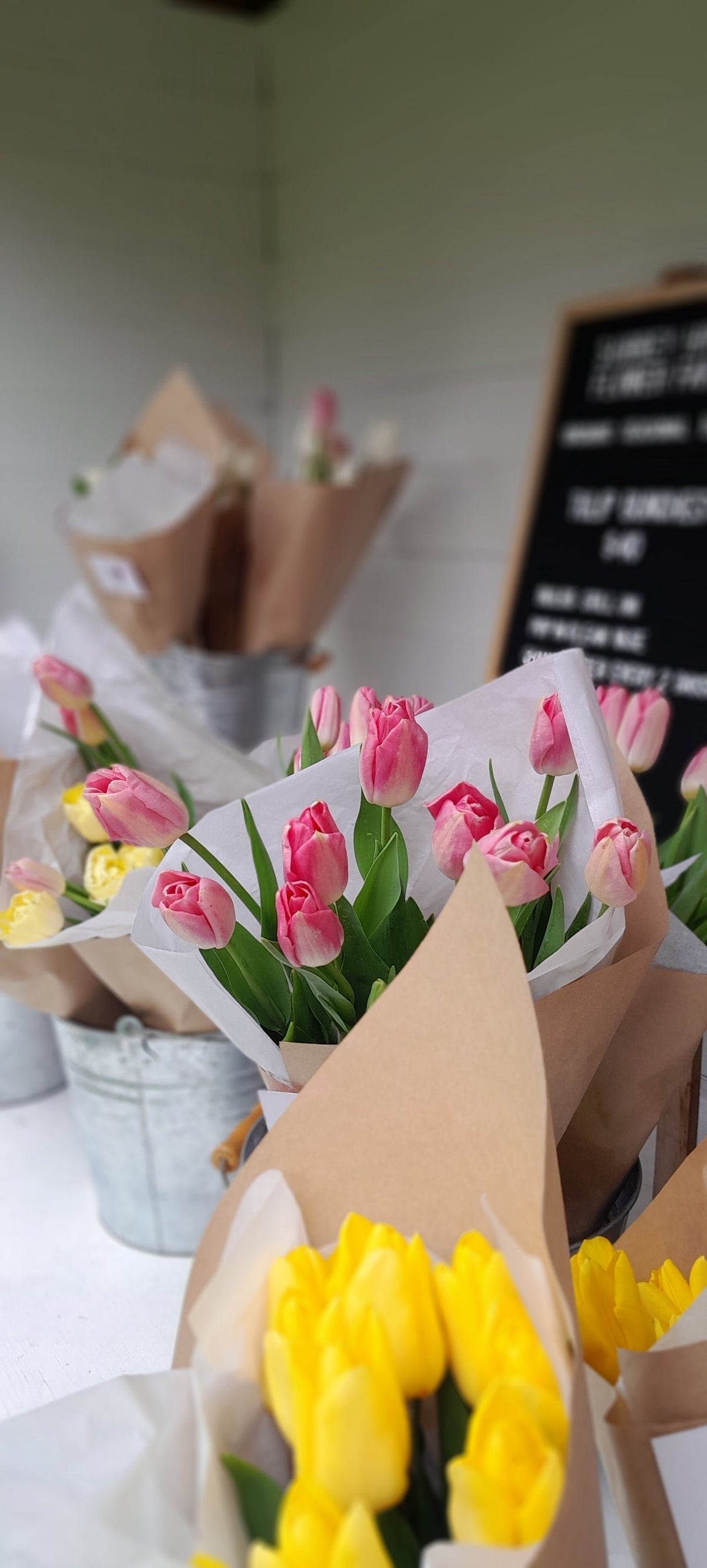 Tulip Bunches