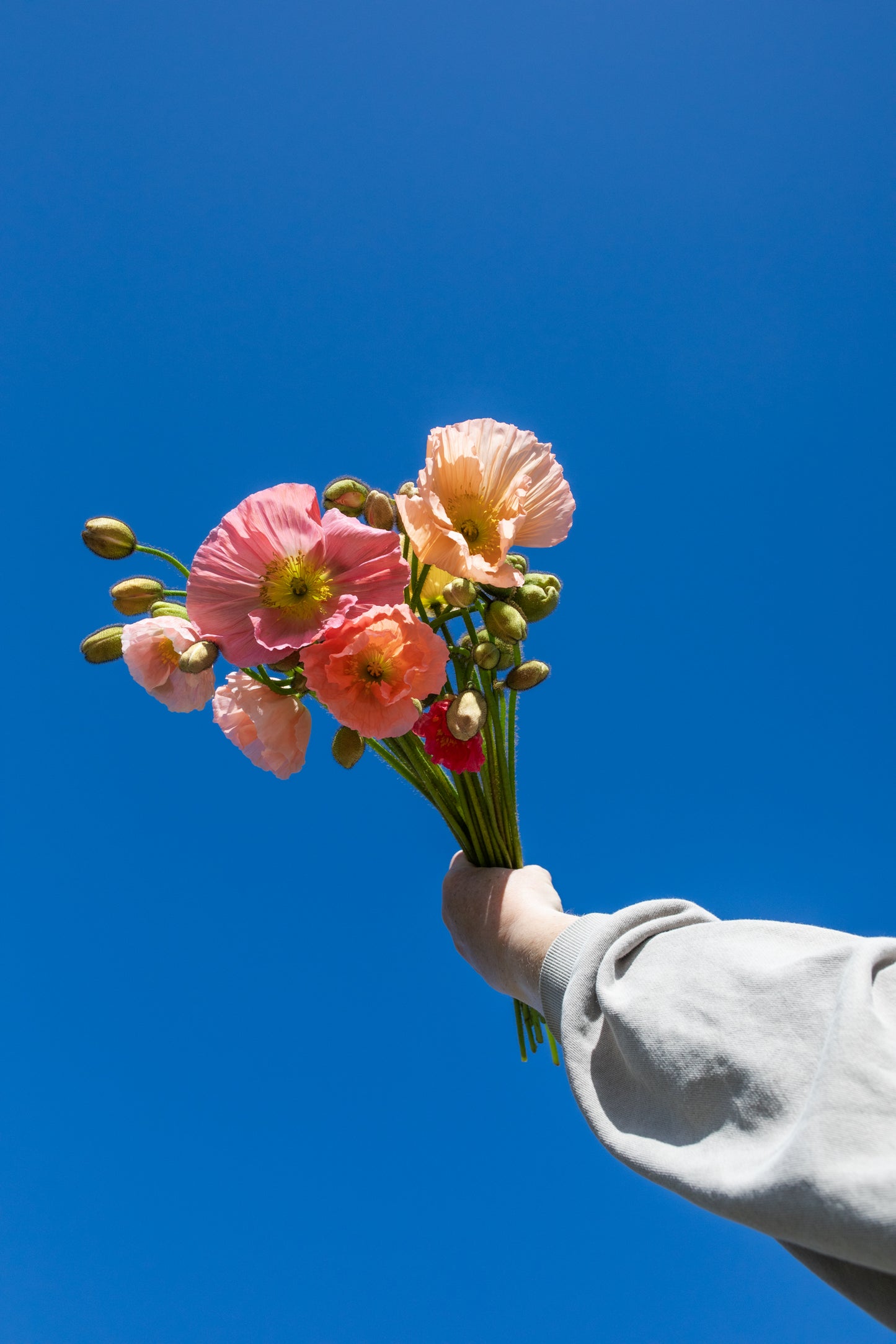 Poppy Bunches