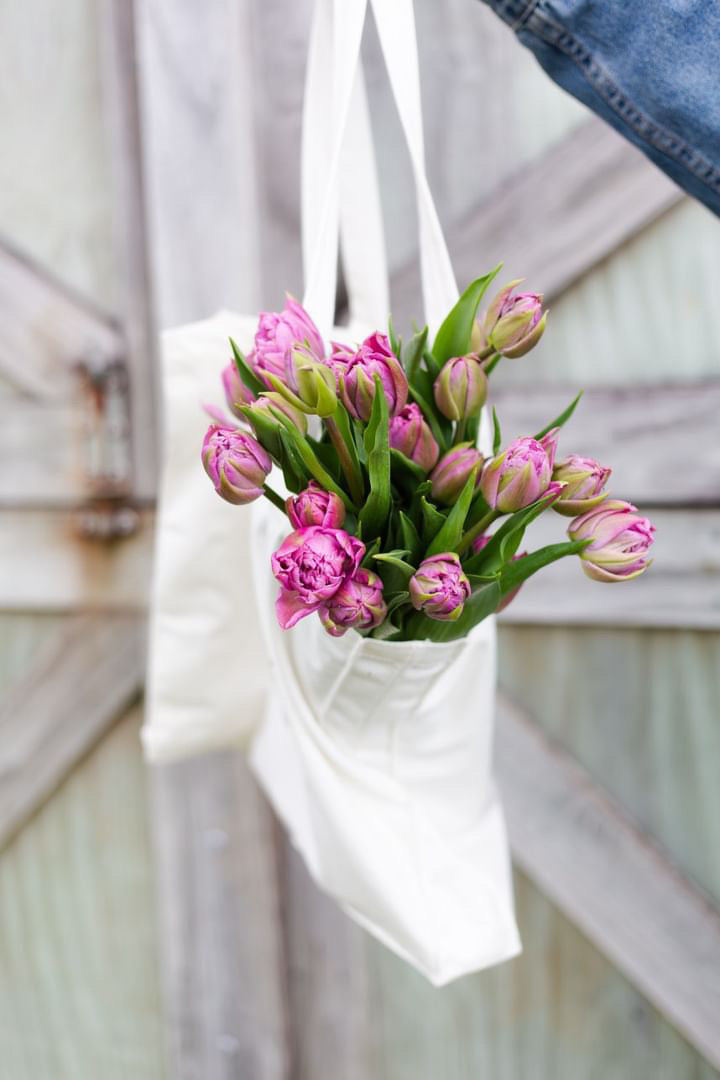 Tulip Bunches