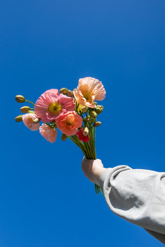 Poppy Bunches
